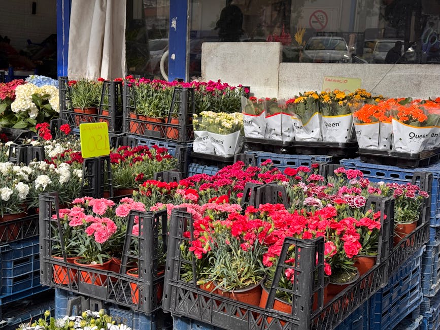A display of vibrant flowering plants arranged in black plastic crates outside a florist shop, including pink, red, white, yellow, and orange blooms such as carnations, geraniums, and marigolds, wrapp