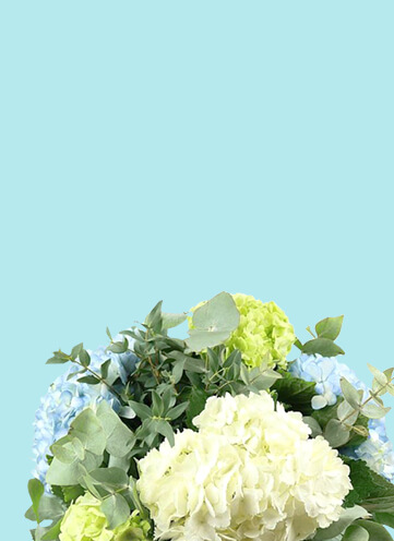 Same day Flowers Greenwich